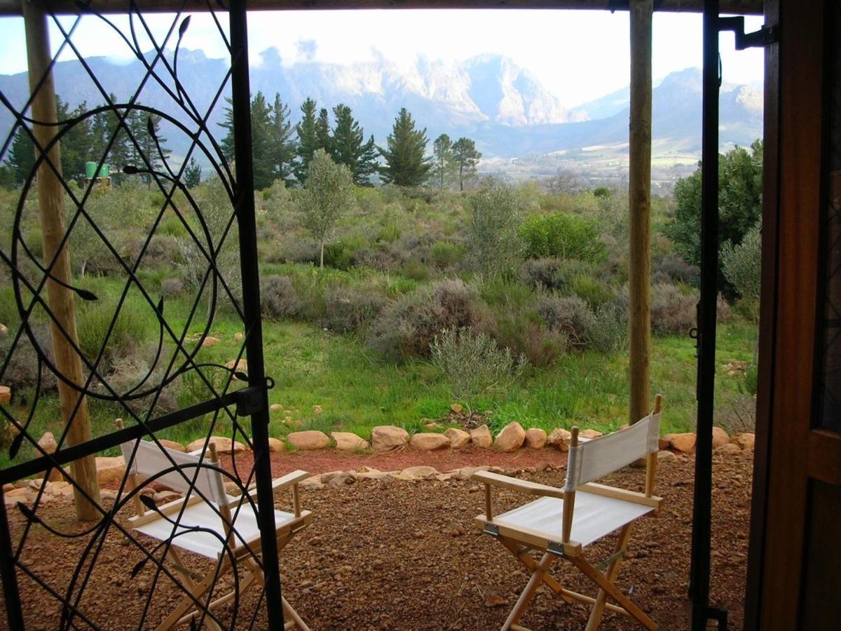 Akkedis At Artemis *