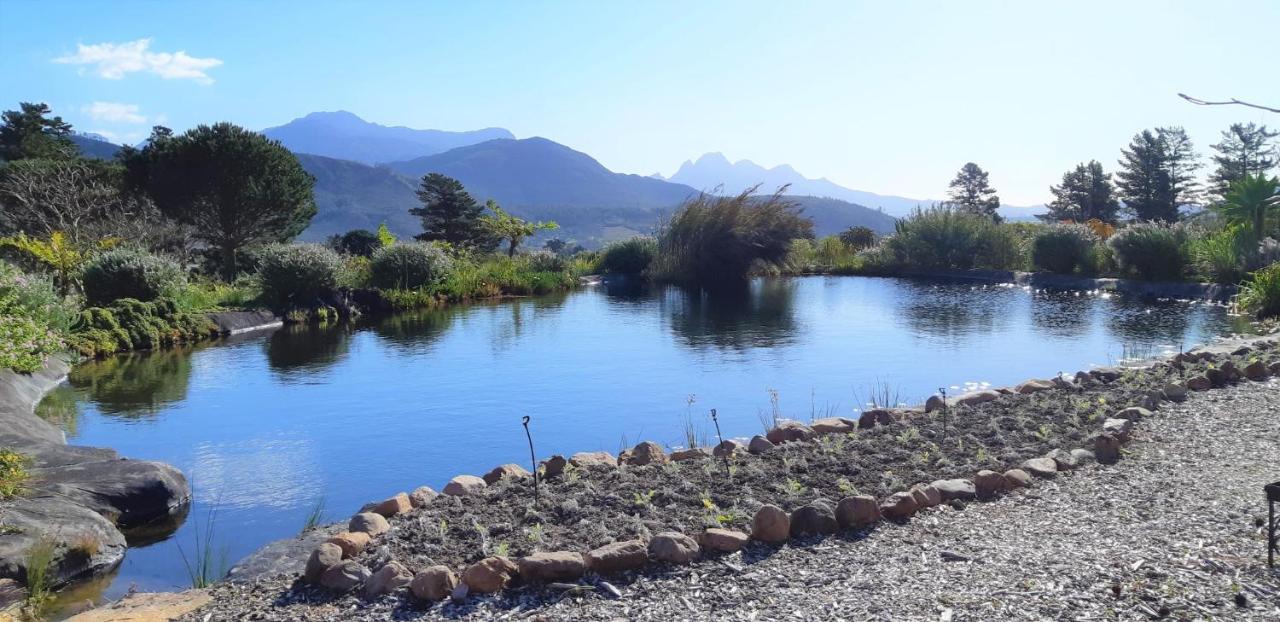 Akkedis At Artemis Franschhoek